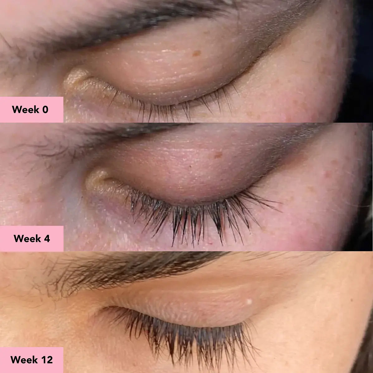 Glyssa Peptide Lash Serum